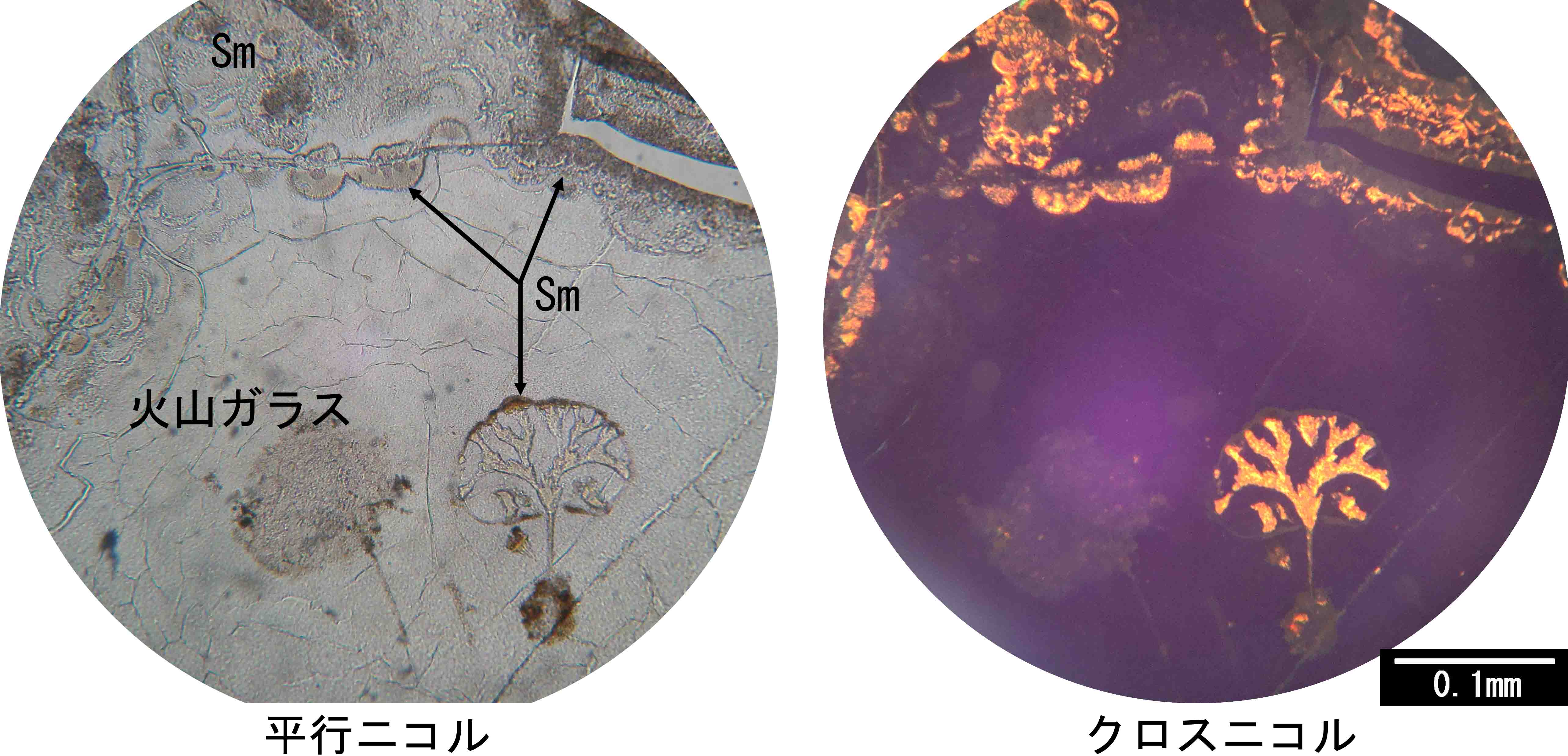 「苔色の地平線」DEEP  Amazon.co.jp: Brighten the Corners : ペイヴメント: デジタル